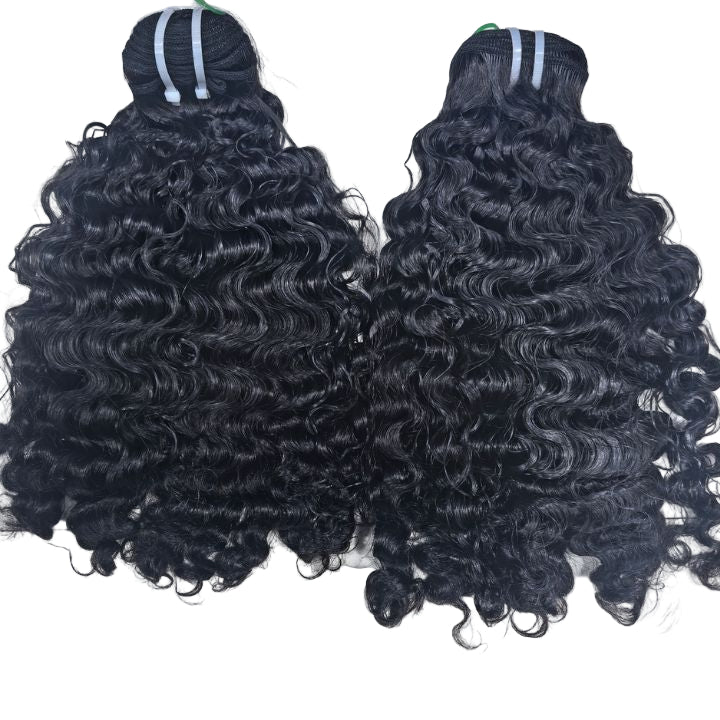 Burmese Curls SDD