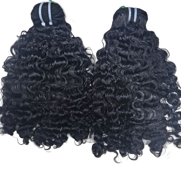 Burmese Curls SDD